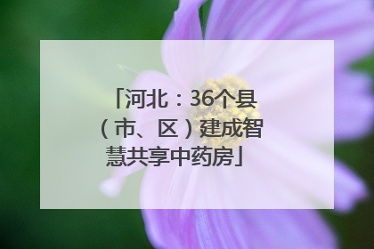 河北：36个县（市、区）建成智慧共享中药房