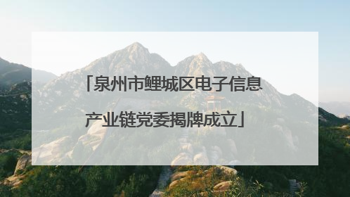 泉州市鲤城区电子信息产业链党委揭牌成立
