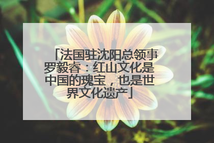 法国驻沈阳总领事罗毅睿：红山文化是中国的瑰宝，也是世界文化遗产