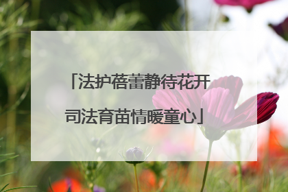 法护蓓蕾静待花开 司法育苗情暖童心