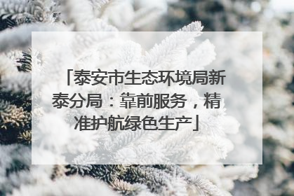 泰安市生态环境局新泰分局：靠前服务，精准护航绿色生产