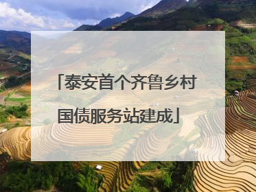 泰安首个齐鲁乡村国债服务站建成