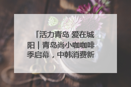 活力青岛 爱在城阳｜青岛尚小咖咖啡季启幕，中韩消费新场景点燃夏日热情