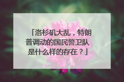 洛杉矶大乱，特朗普调动的国民警卫队是什么样的存在？