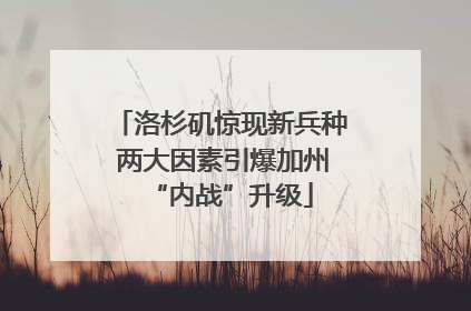 洛杉矶惊现新兵种 两大因素引爆加州“内战”升级
