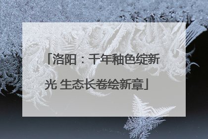 洛阳：千年釉色绽新光 生态长卷绘新章