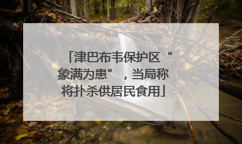 津巴布韦保护区“象满为患”，当局称将扑杀供居民食用