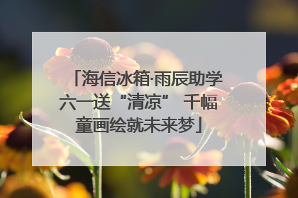 海信冰箱·雨辰助学六一送“清凉” 千幅童画绘就未来梦