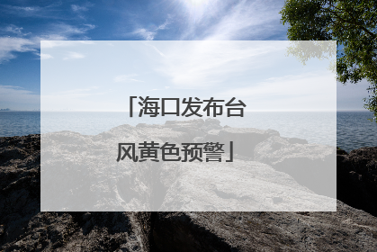 海口发布台风黄色预警