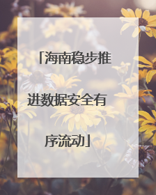 海南稳步推进数据安全有序流动