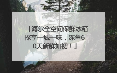 海尔全空间保鲜冰箱探享一城一味，冻鱼60天新鲜如初！