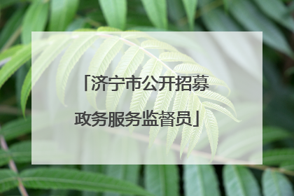 济宁市公开招募政务服务监督员