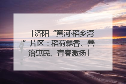 济阳“黄河·稻乡湾”片区：稻荷飘香、善治惠民、青春激扬
