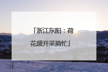 浙江东阳：荷花盛开采摘忙