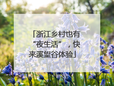 浙江乡村也有“夜生活”，快来溪望谷体验