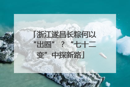 浙江遂昌长粽何以“出圈”？“七十二变”中探新路
