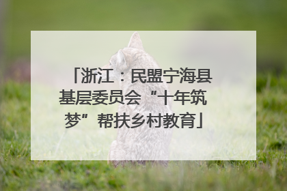 浙江：民盟宁海县基层委员会“十年筑梦”帮扶乡村教育