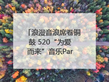 浪漫音浪席卷铜鼓 520“为爱而来”音乐Party甜蜜收官