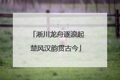 淅川龙舟逐浪起 楚风汉韵贯古今