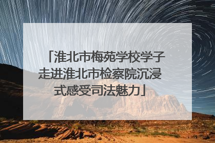 淮北市梅苑学校学子走进淮北市检察院沉浸式感受司法魅力