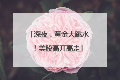 深夜，黄金大跳水！美股高开高走