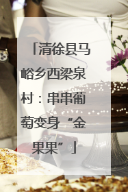 清徐县马峪乡西梁泉村：串串葡萄变身“金果果”
