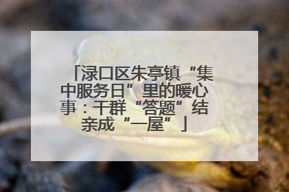 渌口区朱亭镇“集中服务日”里的暖心事：干群“答题”结亲成“一屋”