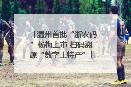 温州首批“浙农码”杨梅上市 扫码溯源“数字土特产”