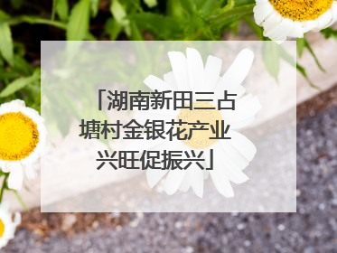 湖南新田三占塘村金银花产业兴旺促振兴