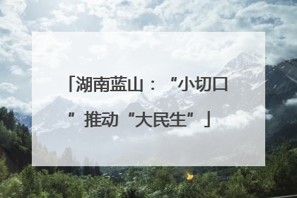 湖南蓝山：“小切口”推动“大民生”