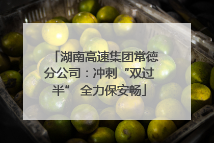 湖南高速集团常德分公司：冲刺“双过半” 全力保安畅