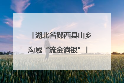 湖北省郧西县山乡沟域“流金淌银”