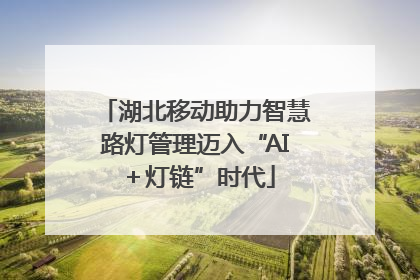 湖北移动助力智慧路灯管理迈入“AI＋灯链”时代