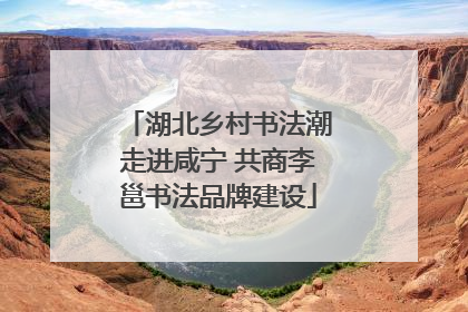 湖北乡村书法潮走进咸宁 共商李邕书法品牌建设