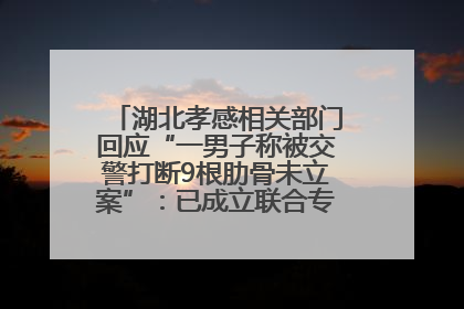 湖北孝感相关部门回应“一男子称被交警打断9根肋骨未立案”：已成立联合专班开展工作