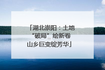 湖北崇阳：土地“破局”绘新卷 山乡巨变绽芳华