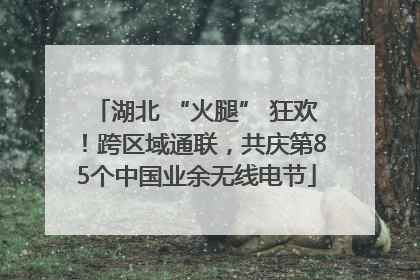 湖北 “火腿” 狂欢！跨区域通联，共庆第85个中国业余无线电节