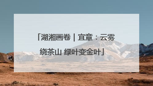 湖湘画卷｜宜章：云雾绕茶山 绿叶变金叶