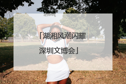 湖湘风潮闪耀深圳文博会