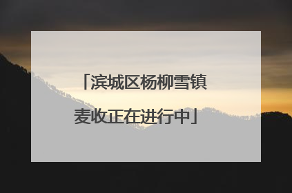 滨城区杨柳雪镇麦收正在进行中