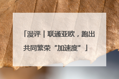漫评｜联通亚欧，跑出共同繁荣“加速度”