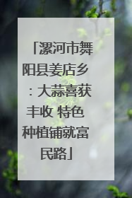 漯河市舞阳县姜店乡：大蒜喜获丰收 特色种植铺就富民路