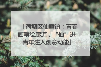 荷塘区仙庾镇：青春画笔绘廊道，“仙”进青年注入创意动能