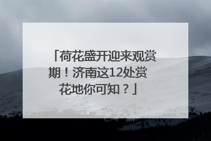 荷花盛开迎来观赏期！济南这12处赏花地你可知？