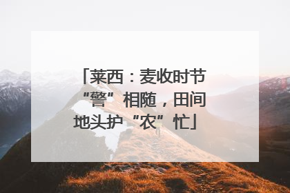莱西：麦收时节“警”相随，田间地头护“农”忙