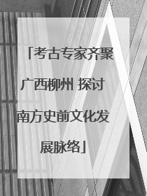 考古专家齐聚广西柳州 探讨南方史前文化发展脉络
