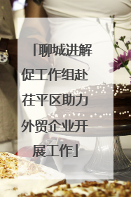 聊城进解促工作组赴茌平区助力外贸企业开展工作