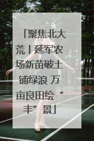 聚焦北大荒丨延军农场新苗破土铺绿浪 万亩良田绘“丰”景