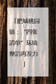 肥城桃园镇：“四张清单”环境整治再发力