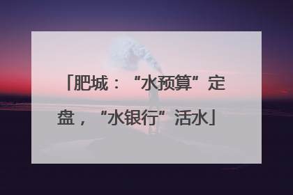 肥城：“水预算”定盘，“水银行”活水